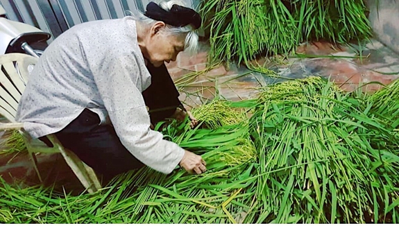 Nguyên liệu chính cho món cốm làng vòng