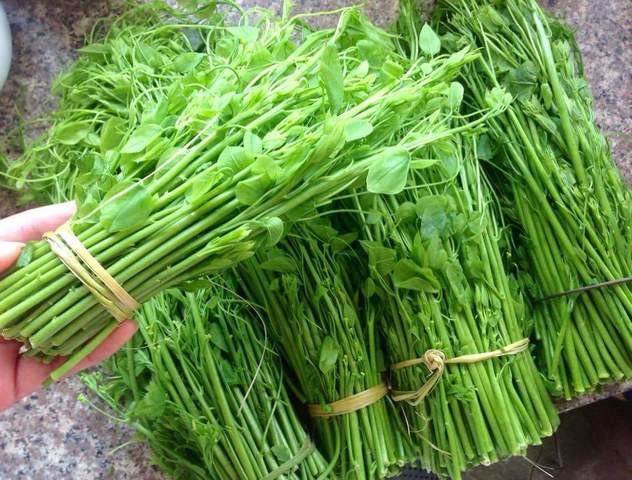 Rau dạ hiến đặc sản cao bằng