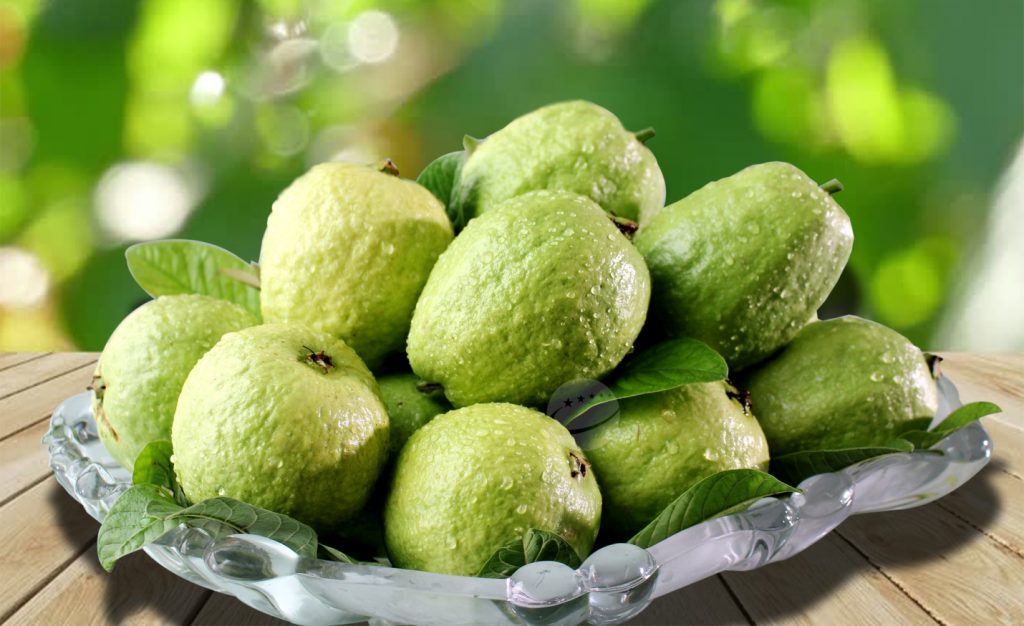 ổi bo đặc sản quê lúa Thái Bình