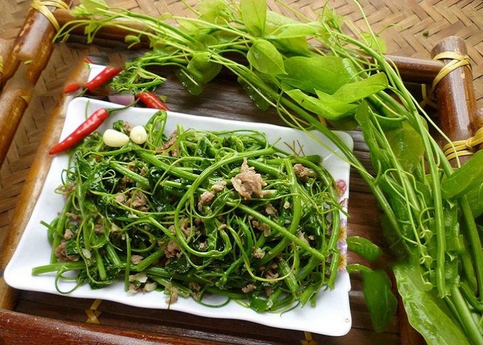 Rau dạ hiến đặc sản cao bằng