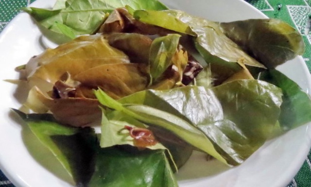 canh lá bép