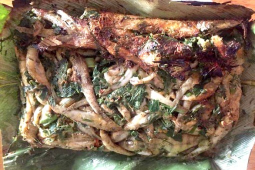 cá bống vùi tro