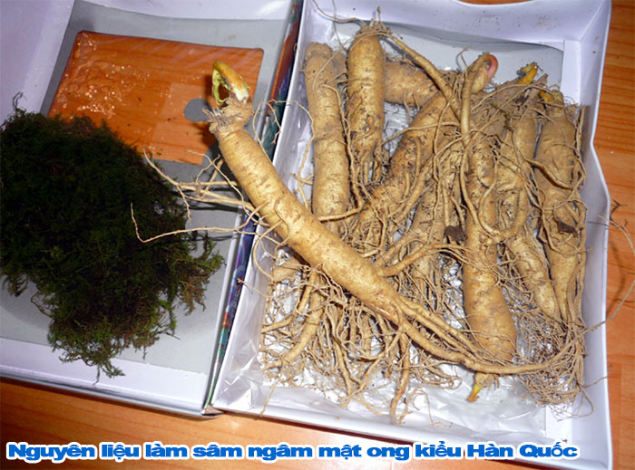 Cách làm nhân sâm ngâm mật ong để được lâu không sợ hư 32 nhân sâm ngâm mật ong